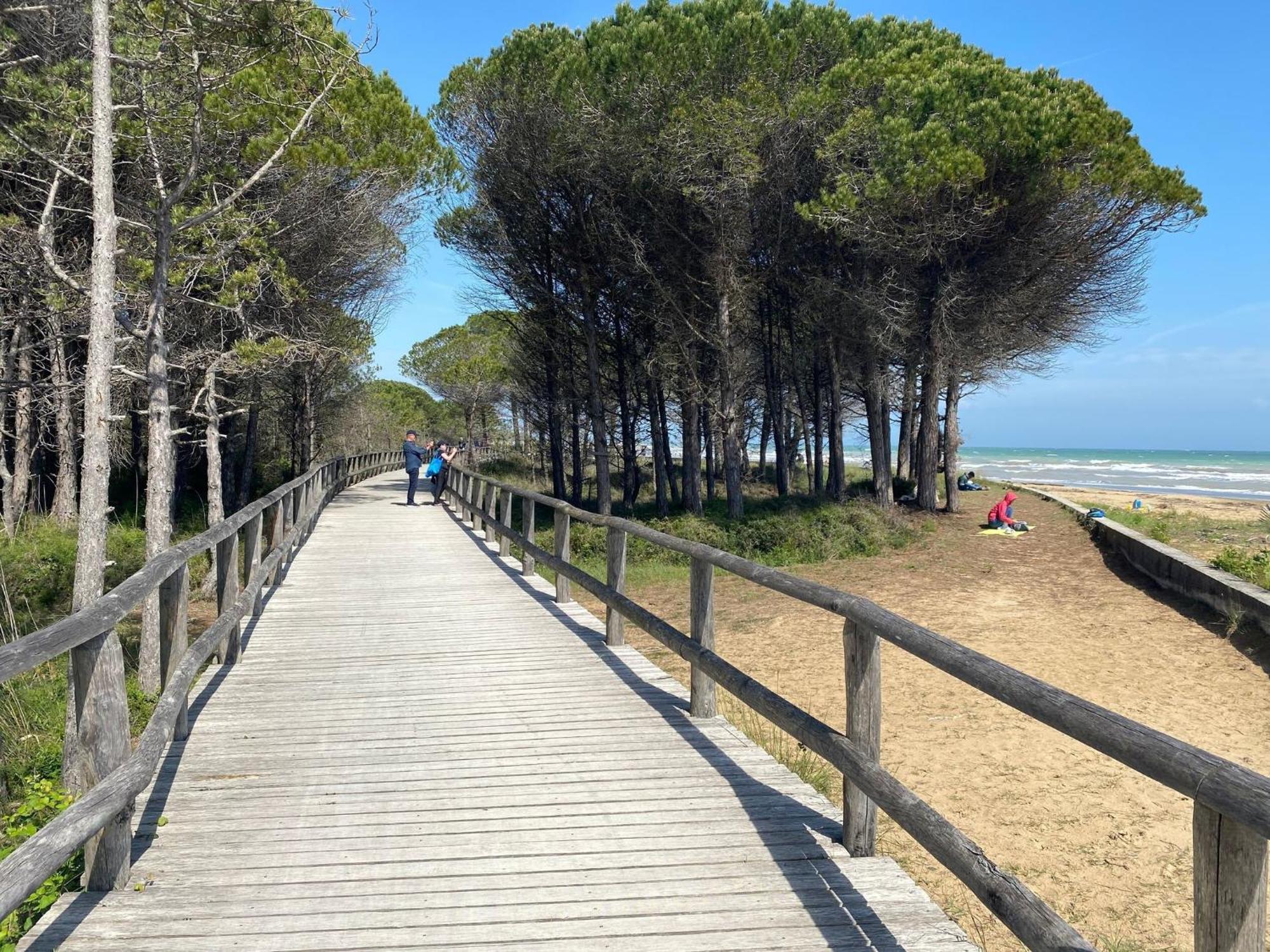 Relax On The Terrace Just 50 Meters From The Apartment