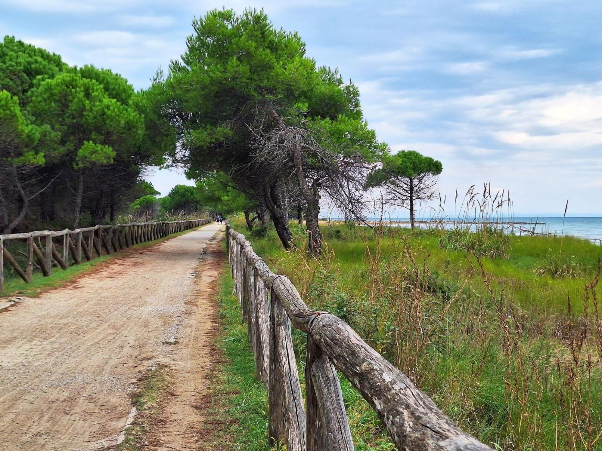 Apartment Relax On The Terrace Just 50 Meters From The Bibione